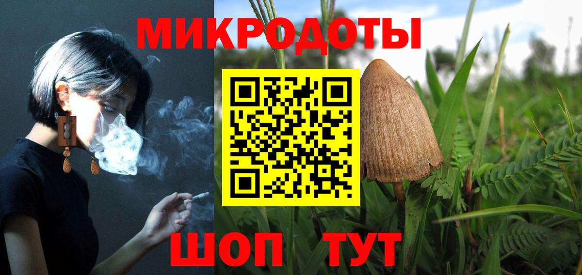 Гудермес  Галлюциногенные грибы Magic Shrooms  Вход с VPN 